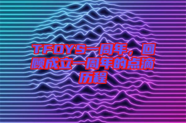 TFOYS一周年，回顧成立一周年的點滴歷程
