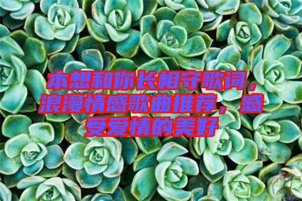 本想和你長相守歌詞，浪漫情感歌曲推薦，感受愛情的美好