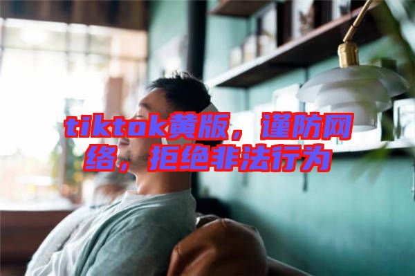 tiktok黃版，謹(jǐn)防網(wǎng)絡(luò)，拒絕非法行為