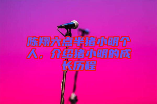 陳翔六點半豬小明個人，介紹豬小明的成長歷程