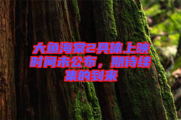 大魚海棠2具體上映時間未公布，期待續(xù)集的到來