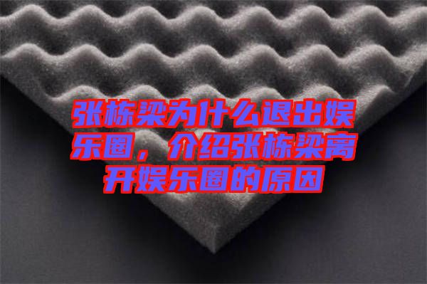 張棟梁為什么退出娛樂圈，介紹張棟梁離開娛樂圈的原因