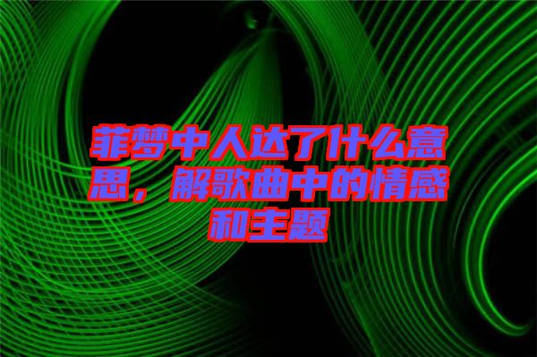 菲夢(mèng)中人達(dá)了什么意思，解歌曲中的情感和主題