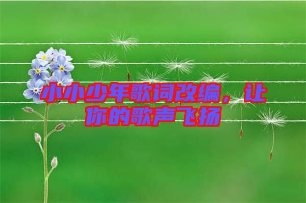 小小少年歌詞改編，讓你的歌聲飛揚(yáng)