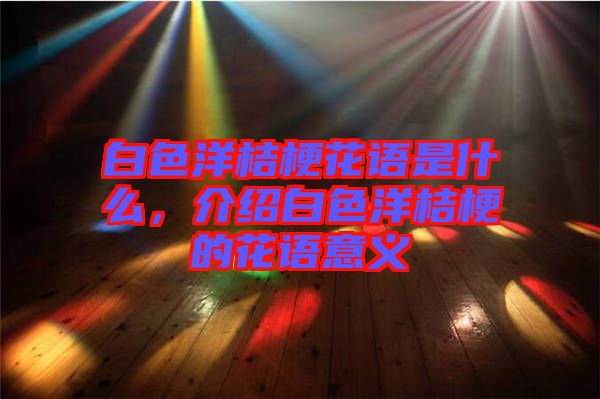 白色洋桔?；ㄕZ是什么，介紹白色洋桔梗的花語意義
