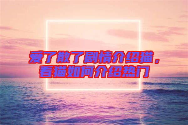 愛了散了劇情介紹貓，看貓如何介紹熱門