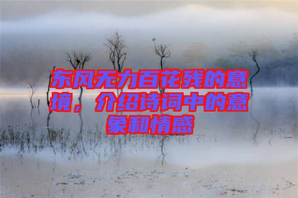 東風(fēng)無(wú)力百花殘的意境，介紹詩(shī)詞中的意象和情感
