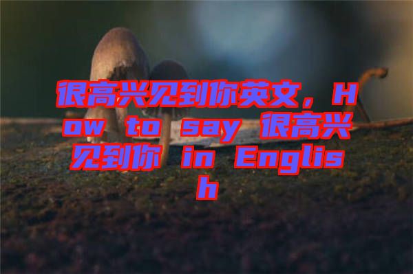 很高興見(jiàn)到你英文，How to say 很高興見(jiàn)到你 in English