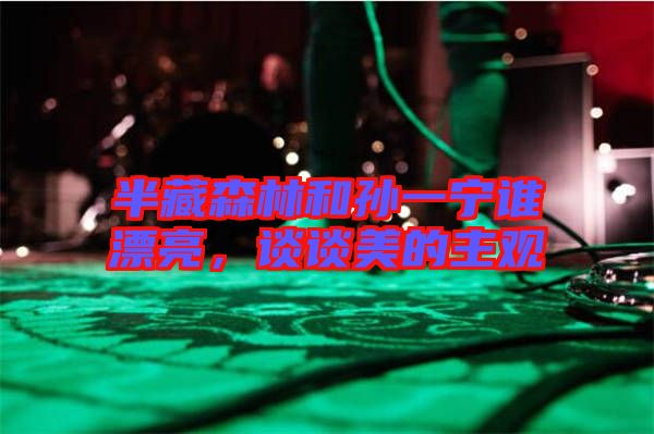 半藏森林和孫一寧誰漂亮，談?wù)劽赖闹饔^