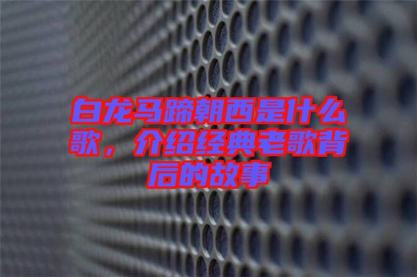 白龍馬蹄朝西是什么歌，介紹經(jīng)典老歌背后的故事