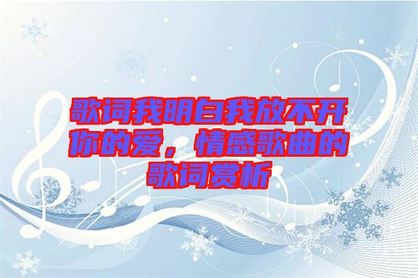 歌詞我明白我放不開(kāi)你的愛(ài)，情感歌曲的歌詞賞析