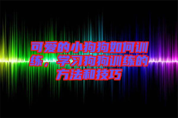 可愛的小狗狗如何訓(xùn)練，學(xué)習(xí)狗狗訓(xùn)練的方法和技巧