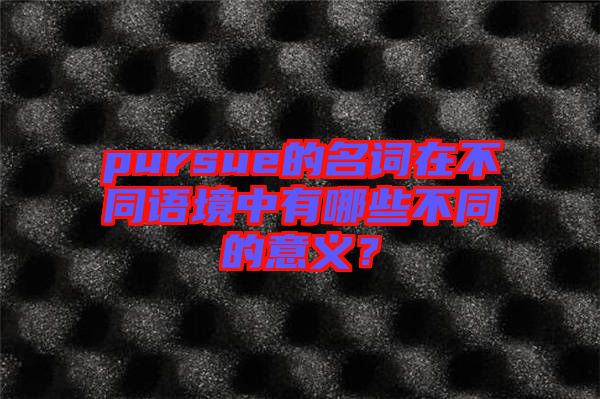 pursue的名詞在不同語境中有哪些不同的意義？