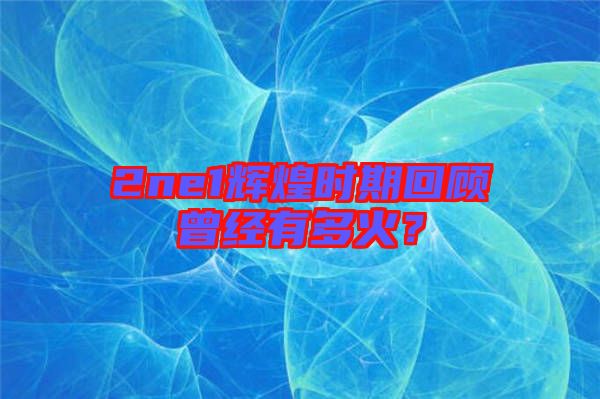 2ne1輝煌時(shí)期回顧曾經(jīng)有多火？