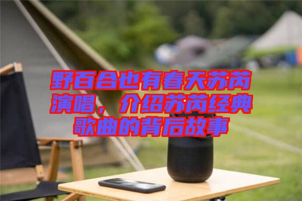 野百合也有春天蘇芮演唱，介紹蘇芮經(jīng)典歌曲的背后故事