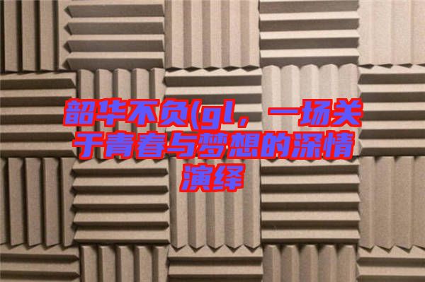 韶華不負(fù)(gl，一場關(guān)于青春與夢想的深情演繹