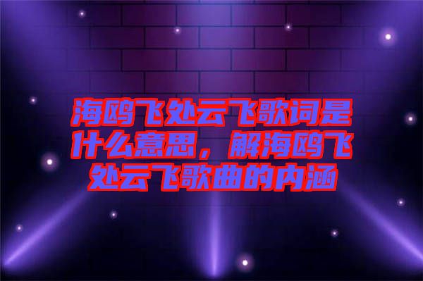 海鷗飛處云飛歌詞是什么意思，解海鷗飛處云飛歌曲的內(nèi)涵
