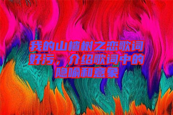 我的山楂樹之戀歌詞好污，介紹歌詞中的隱喻和意象