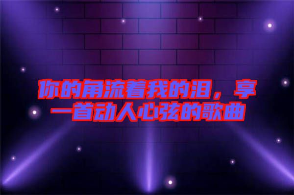 你的角流著我的淚，享一首動人心弦的歌曲