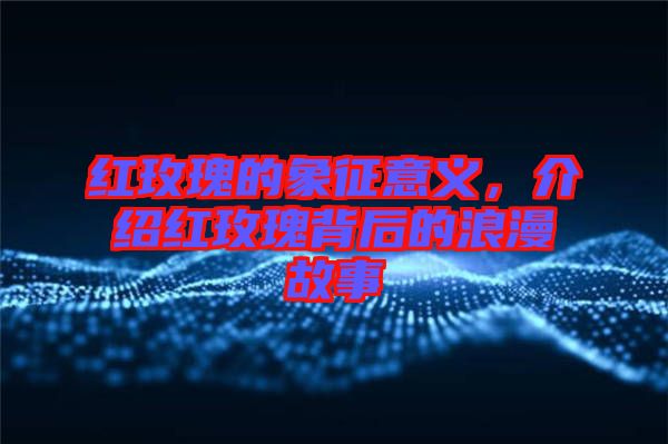紅玫瑰的象征意義，介紹紅玫瑰背后的浪漫故事