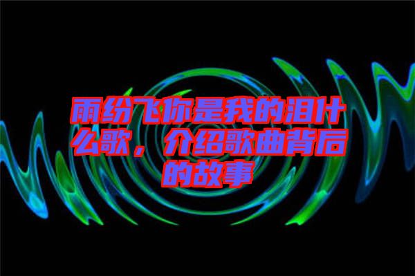 雨紛飛你是我的淚什么歌，介紹歌曲背后的故事