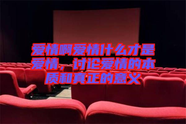 愛情啊愛情什么才是愛情，討論愛情的本質(zhì)和真正的意義