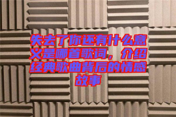 失去了你還有什么意義是哪首歌詞，介紹經(jīng)典歌曲背后的情感故事