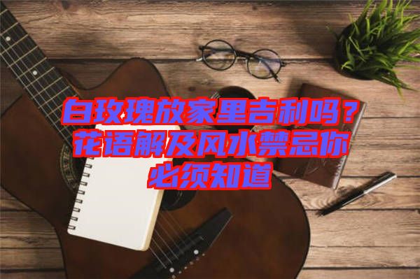 白玫瑰放家里吉利嗎？花語(yǔ)解及風(fēng)水禁忌你必須知道