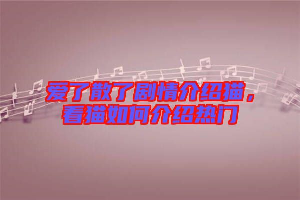 愛了散了劇情介紹貓，看貓如何介紹熱門