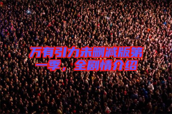 萬有引力未刪減版第一季，全劇情介紹