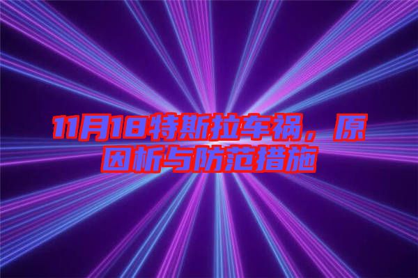 11月18特斯拉車禍，原因析與防范措施