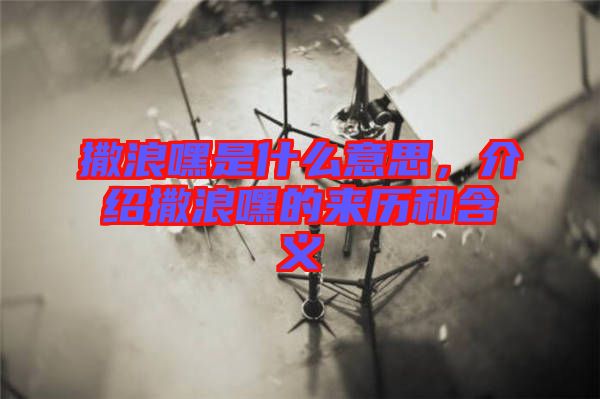 撒浪嘿是什么意思，介紹撒浪嘿的來歷和含義