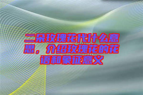 二朵玫瑰花代什么意思，介紹玫瑰花的花語和象征意義