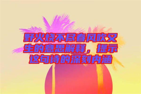 野火燒不盡春風吹又生的意思解釋，提示這句詩的深刻內(nèi)涵