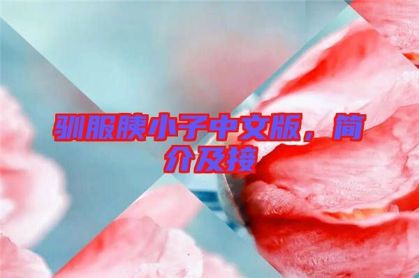 馴服胰小子中文版，簡介及接