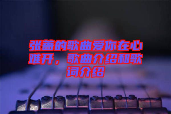 張薔的歌曲愛你在心難開，歌曲介紹和歌詞介紹
