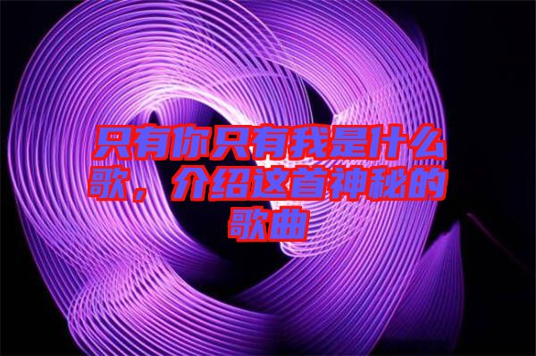 只有你只有我是什么歌，介紹這首神秘的歌曲