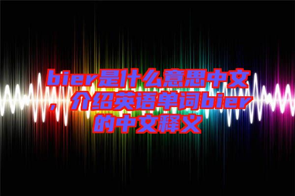 bier是什么意思中文，介紹英語(yǔ)單詞bier的中文釋義
