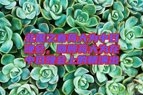 北國(guó)之春蔣大為中日晚會(huì)，回顧蔣大為在中日晚會(huì)上的精演出