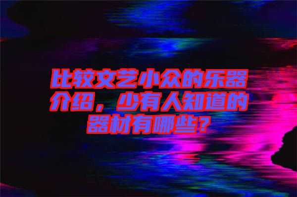 比較文藝小眾的樂器介紹，少有人知道的器材有哪些？