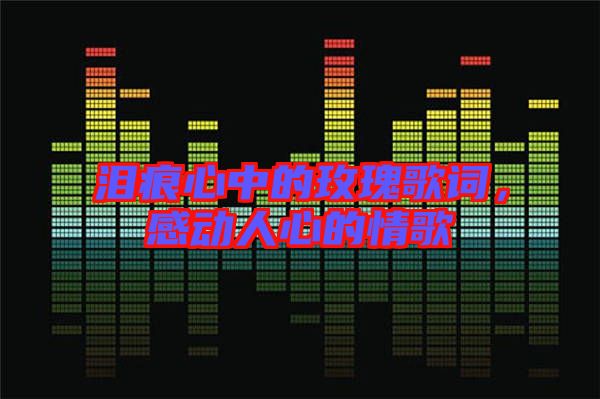 淚痕心中的玫瑰歌詞，感動人心的情歌