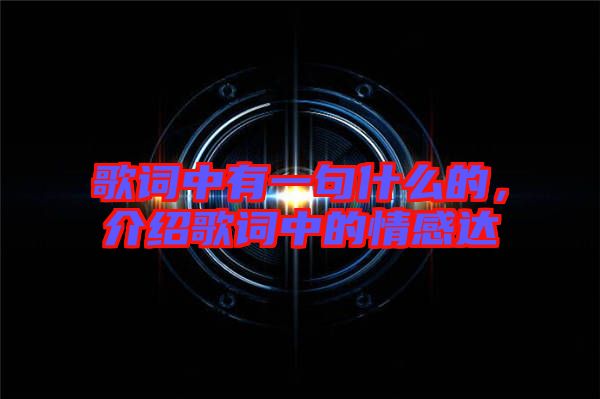 歌詞中有一句什么的，介紹歌詞中的情感達