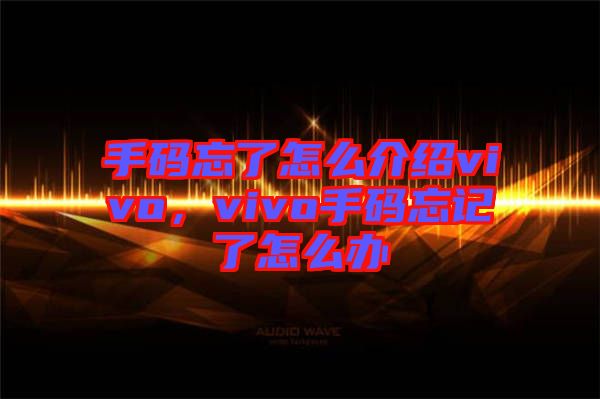 手碼忘了怎么介紹vivo，vivo手碼忘記了怎么辦