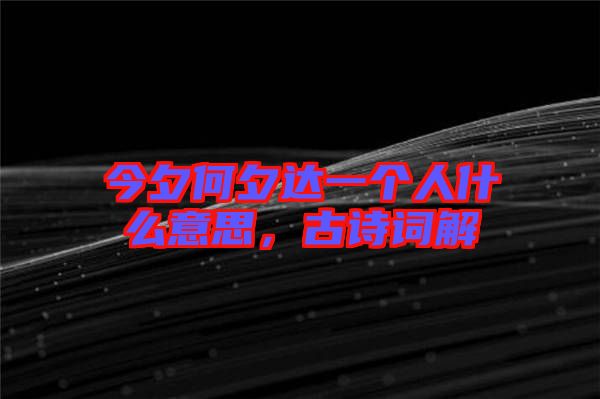 今夕何夕達一個人什么意思，古詩詞解