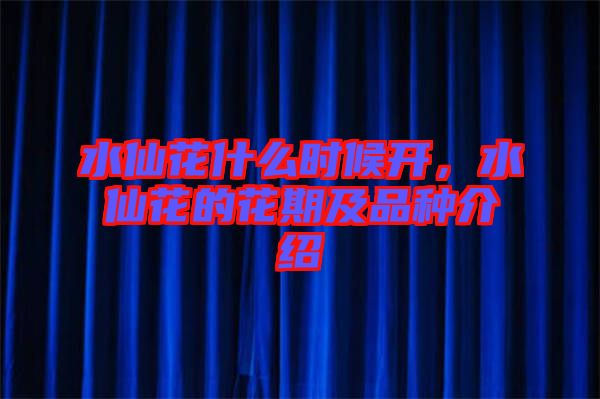 水仙花什么時(shí)候開(kāi)，水仙花的花期及品種介紹