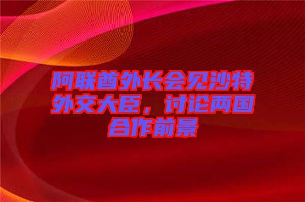 阿聯(lián)酋外長(zhǎng)會(huì)見(jiàn)沙特外交大臣，討論兩國(guó)合作前景