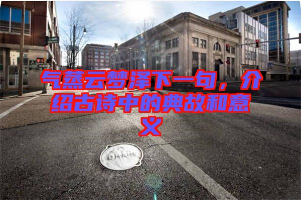 氣蒸云夢澤下一句，介紹古詩中的典故和意義