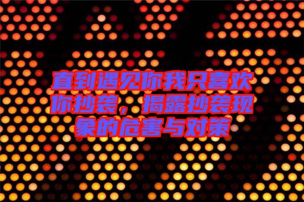 直到遇見你我只喜歡你抄襲，揭露抄襲現(xiàn)象的危害與對(duì)策