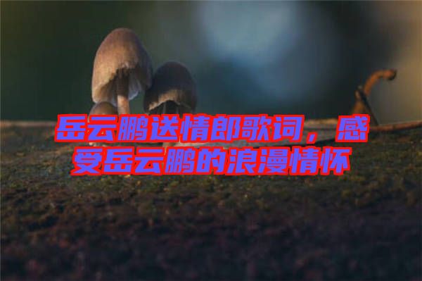 岳云鵬送情郎歌詞，感受岳云鵬的浪漫情懷