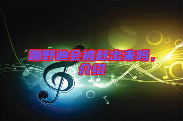 蹦野迪會(huì)被趕出來嗎，介紹